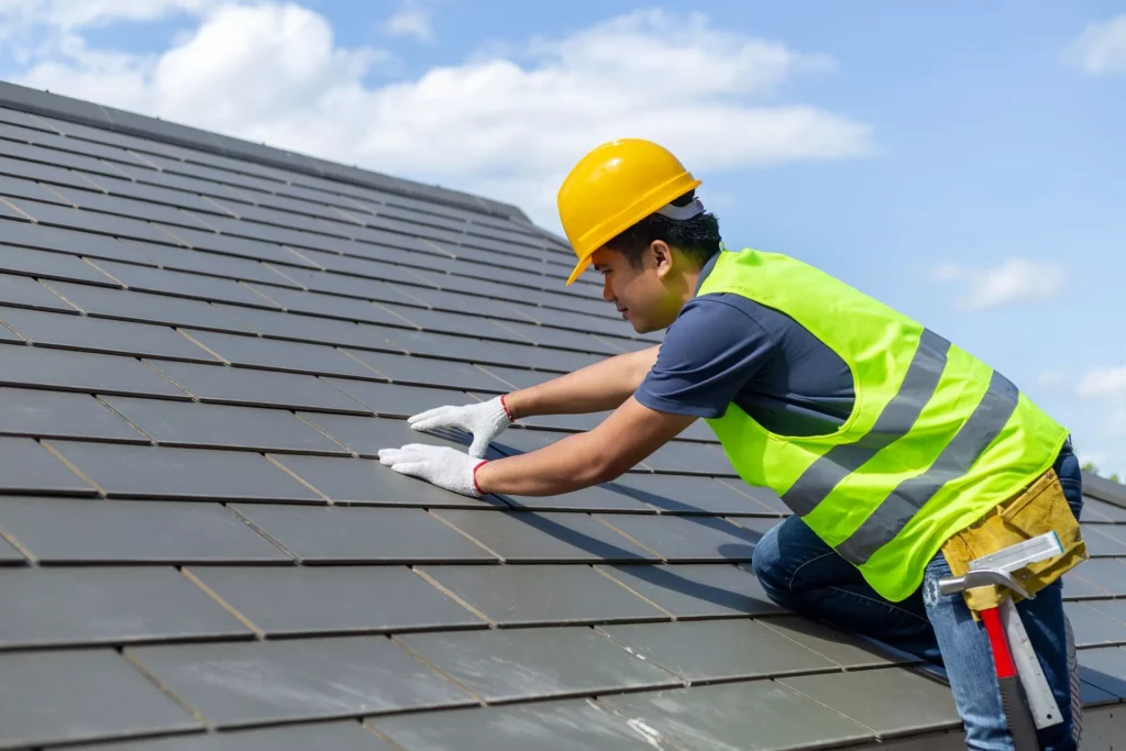 Shingle Roof